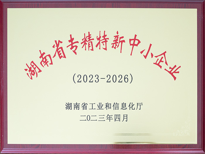 湖南省专精特新中小企业